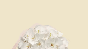 copertina evento wedding experience